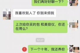 芦淞讨债公司